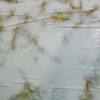 Kitchen/Wool Marble Cover - Image 6