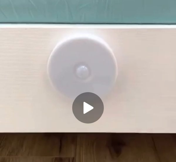 Body Induction Light