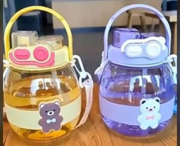 Fancy water bottle with handle