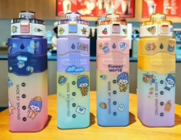 Shuiyinzi Water Bottle