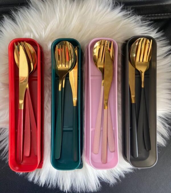 Cutlery Set With Cover 3 in 1